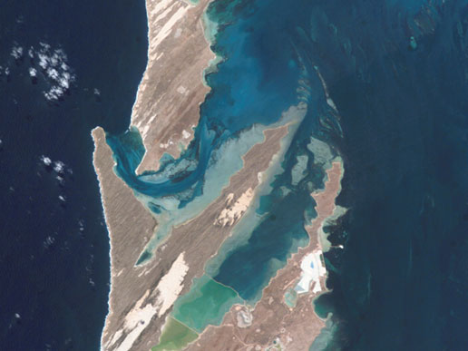 Shark Bay, Australia from the International Space Station