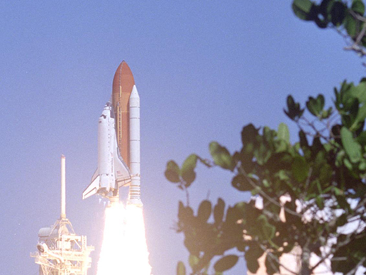 Framed by Florida greenery, Space Shuttle Discovery lifts off from Launch Pad 39B.