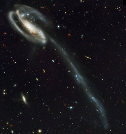 Disrupted spiral galaxy Arp 188, the Tadpole Galaxy