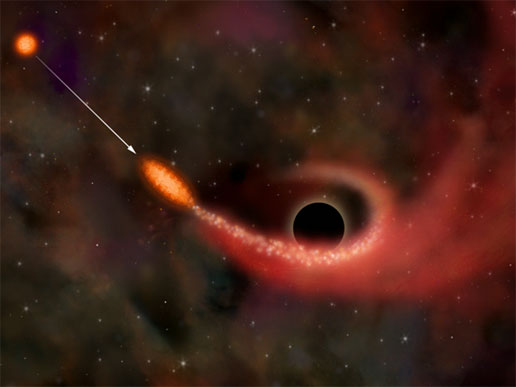 Black Hole Eats Star